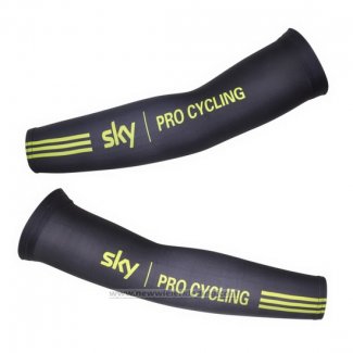 2011 Sky Armstukken Cycling