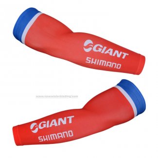 2015 Gaint Armstukken Cycling Rood