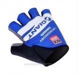 2012 Giant Handschoenen Cycling Blauw